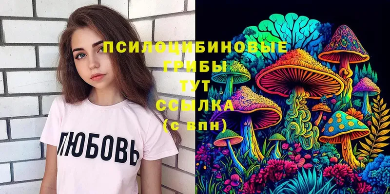 Галлюциногенные грибы MAGIC MUSHROOMS  ОМГ ОМГ ссылка  Богородицк  купить  сайты 